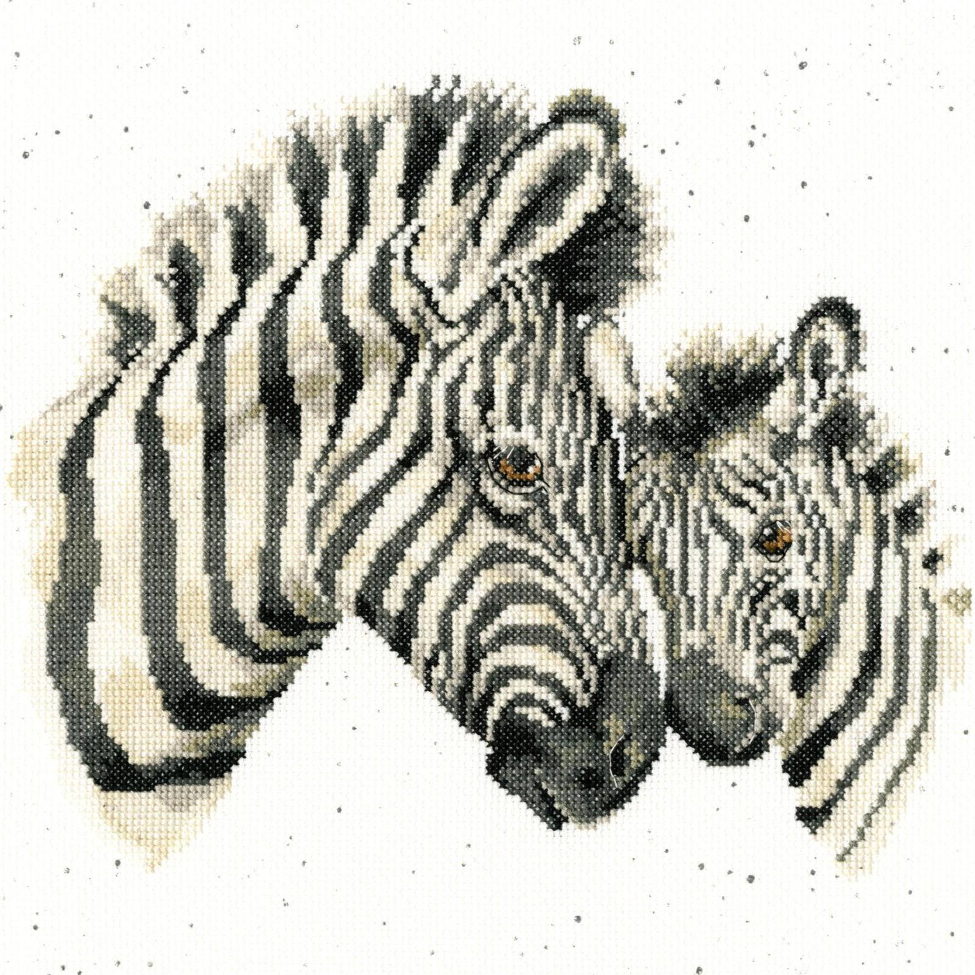 Bothy Threads Racing Stripes Counted Cross Stitch Kit